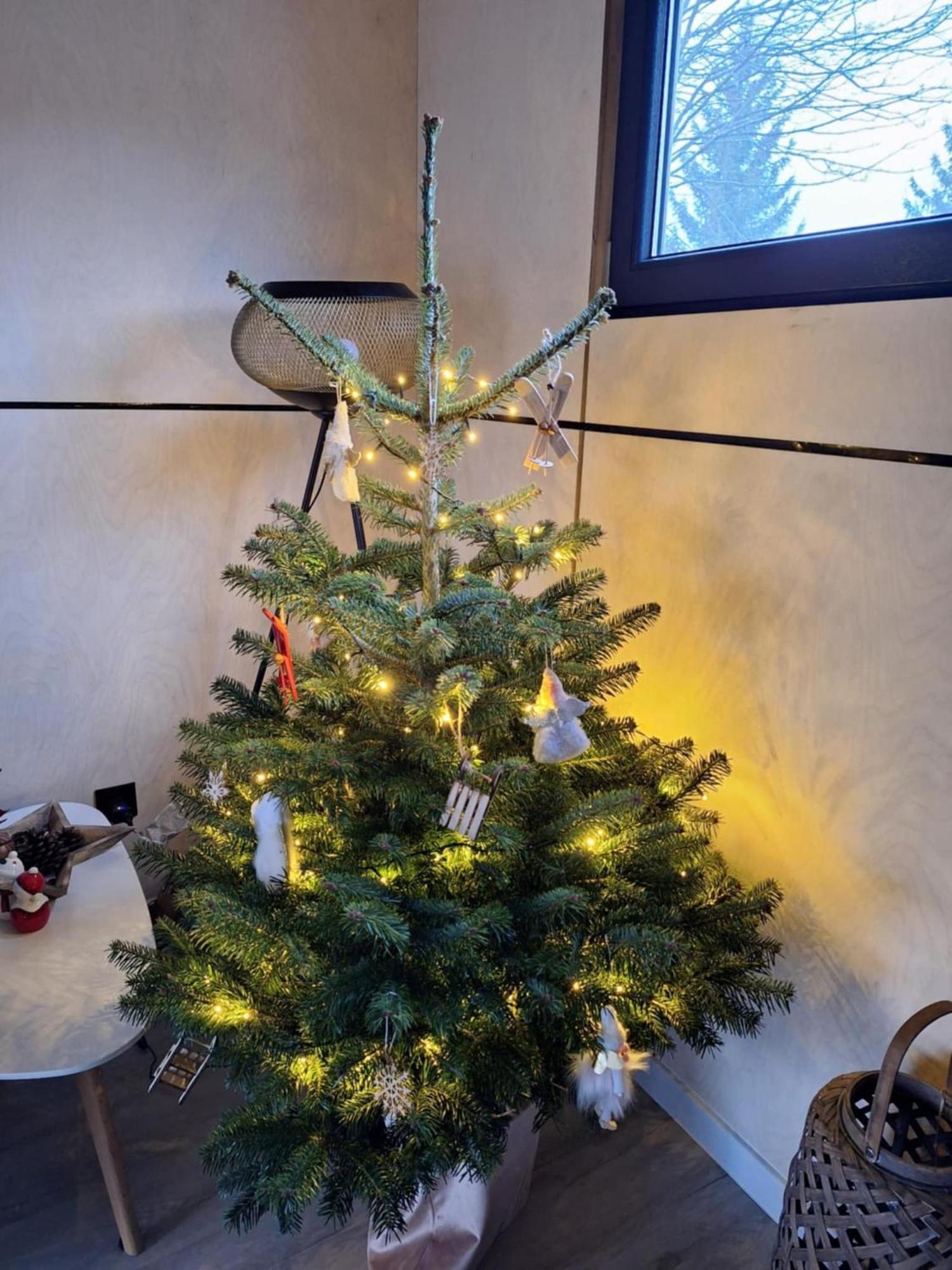 Appartement Domcek Pod Vezami S Virivkou A Grilom, Pri Termalnom Kupalisku à Liptovský Ján Extérieur photo